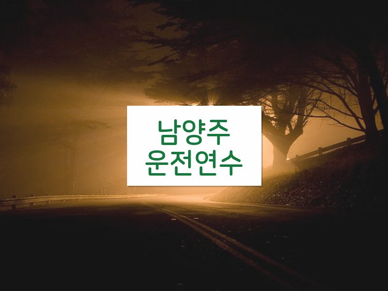 남양주운전연수 후기