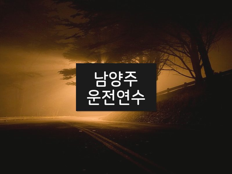 남양주운전연수 후기
