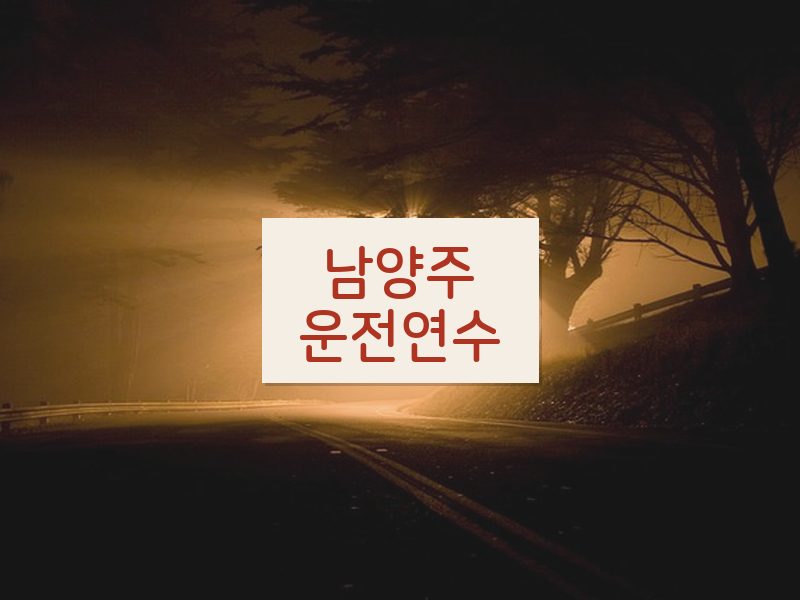 남양주운전연수 후기