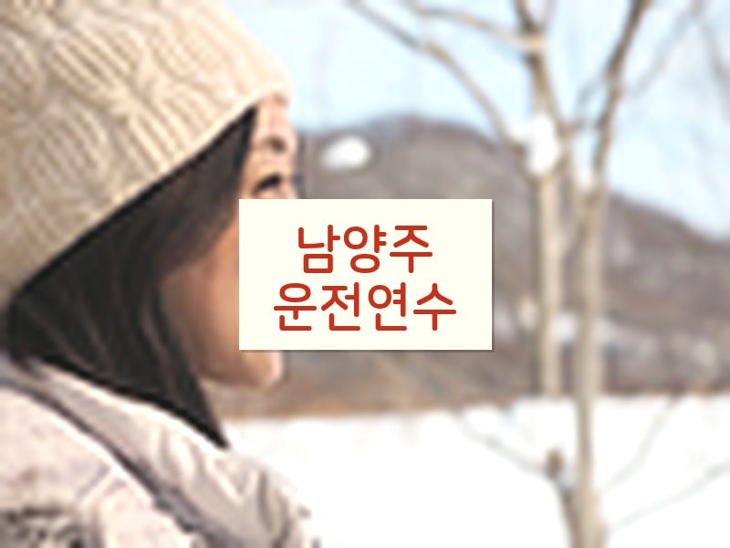 남양주운전연수 후기