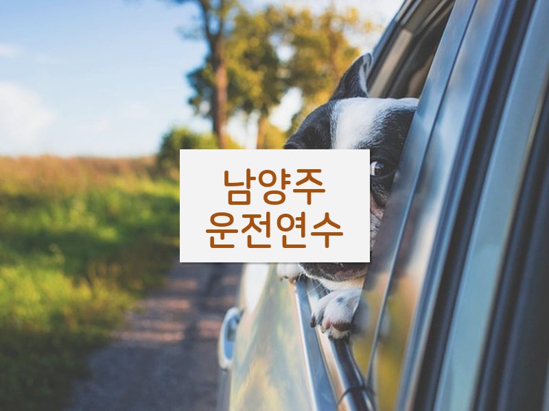 남양주운전연수 후기