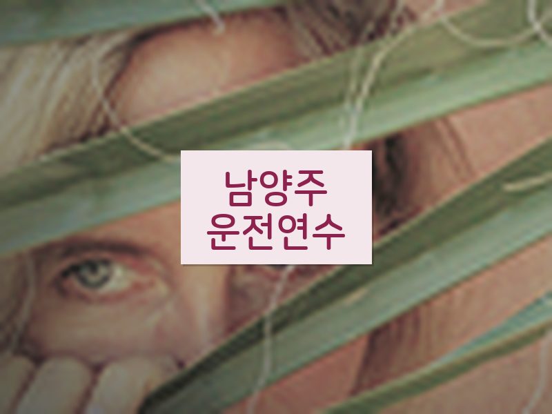 남양주운전연수 후기