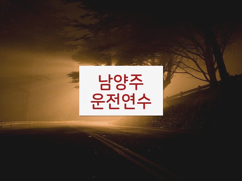 남양주운전연수 후기
