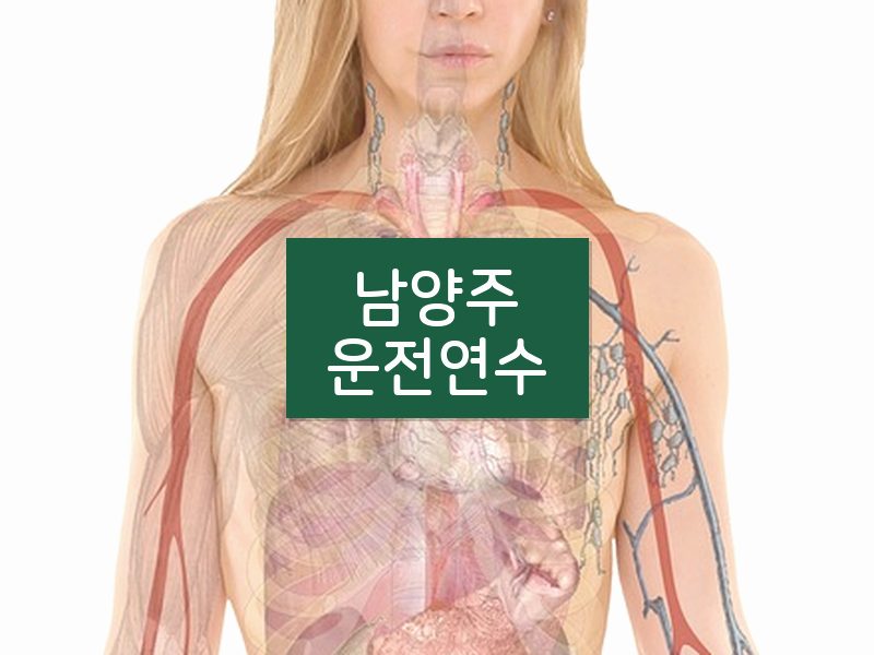 남양주운전연수 후기