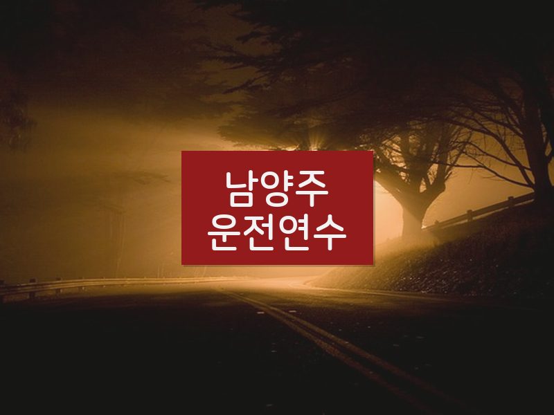 남양주운전연수 후기