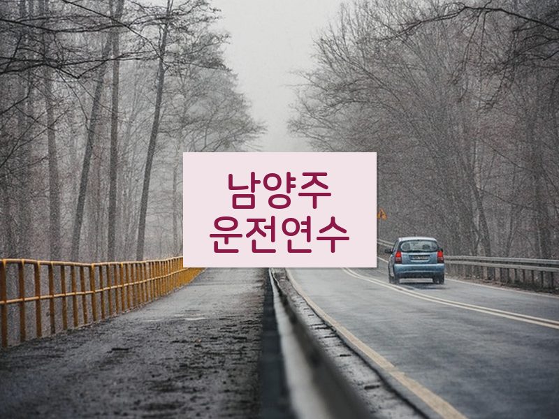 남양주운전연수 후기