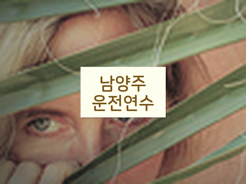 남양주운전연수 후기