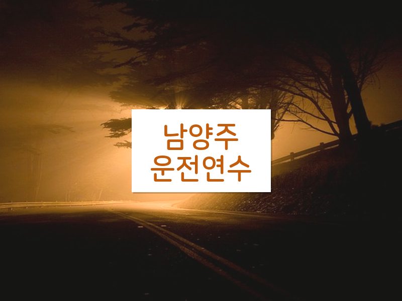 남양주운전연수 후기