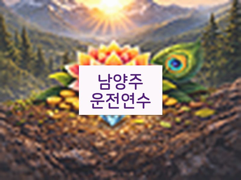 남양주운전연수 후기