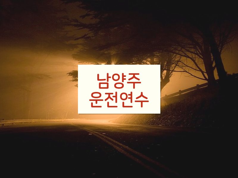 남양주운전연수 후기