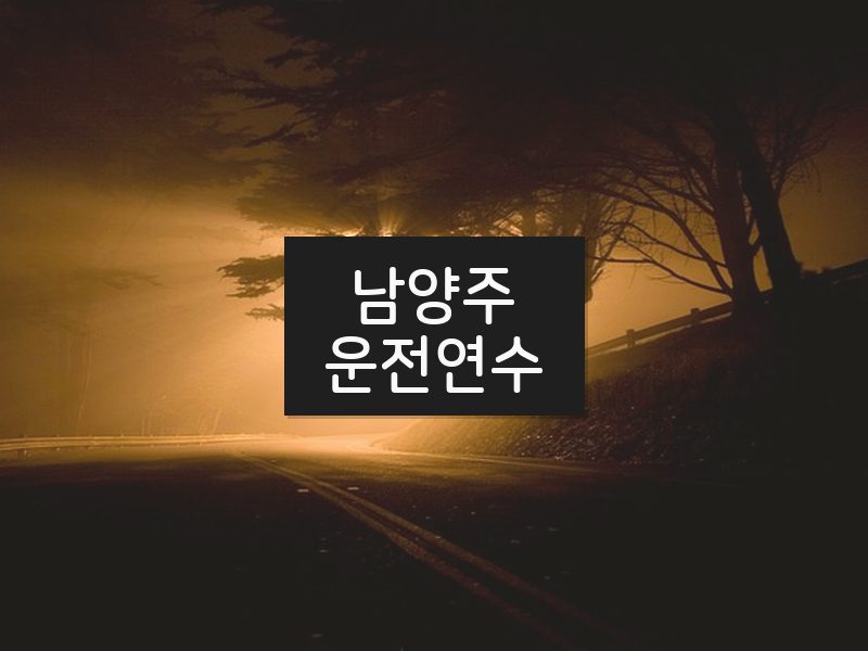 남양주운전연수 후기