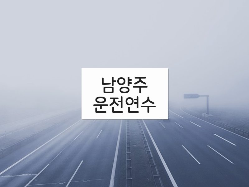 남양주운전연수 후기