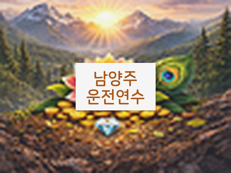 남양주운전연수 후기