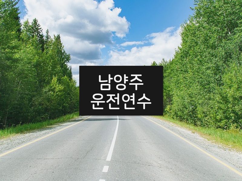 남양주운전연수 후기