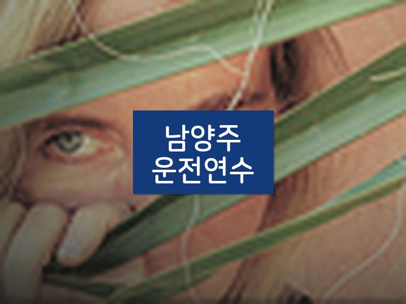 남양주운전연수 후기