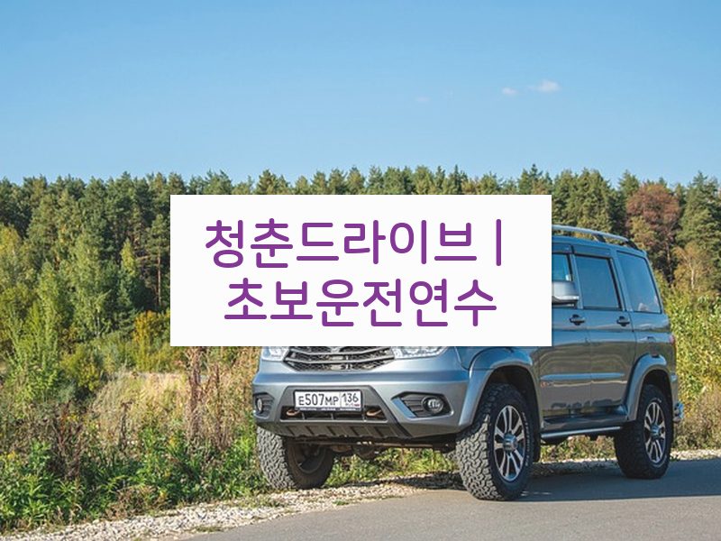 청춘드라이브 | 초보운전연수 후기