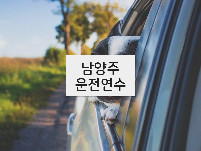 남양주운전연수 후기