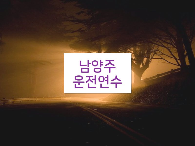 남양주운전연수 후기