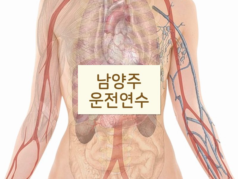 남양주운전연수 후기