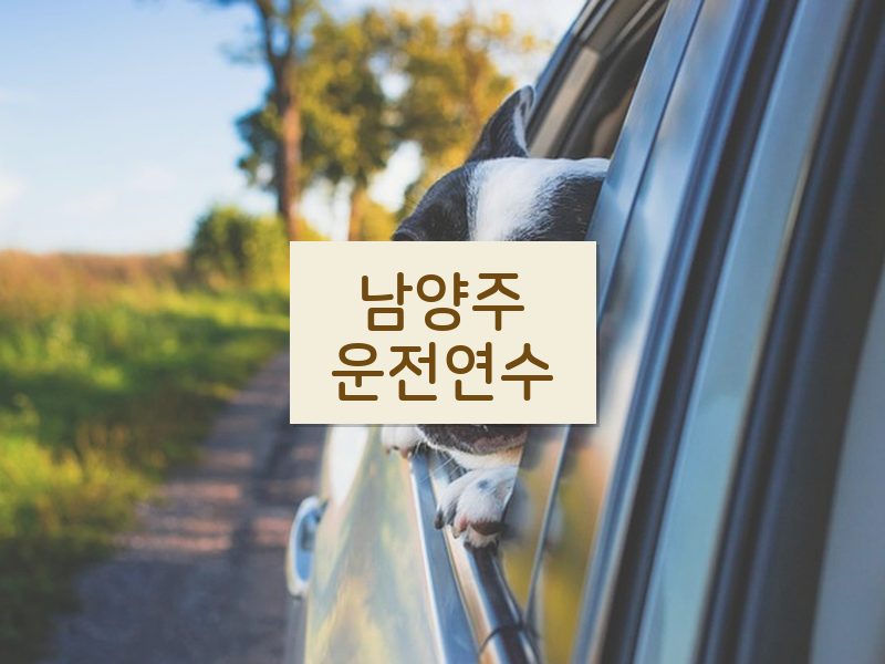 남양주운전연수 후기