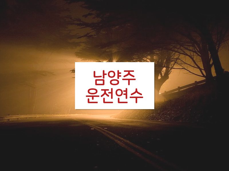 남양주운전연수 후기