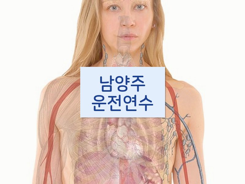 남양주운전연수 후기
