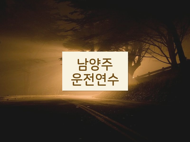 남양주운전연수 후기