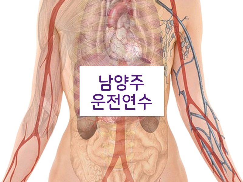 남양주운전연수 후기
