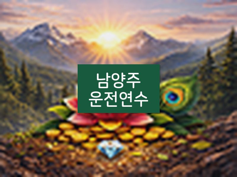 남양주운전연수 후기