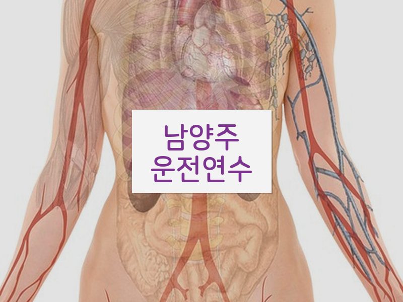 남양주운전연수 후기