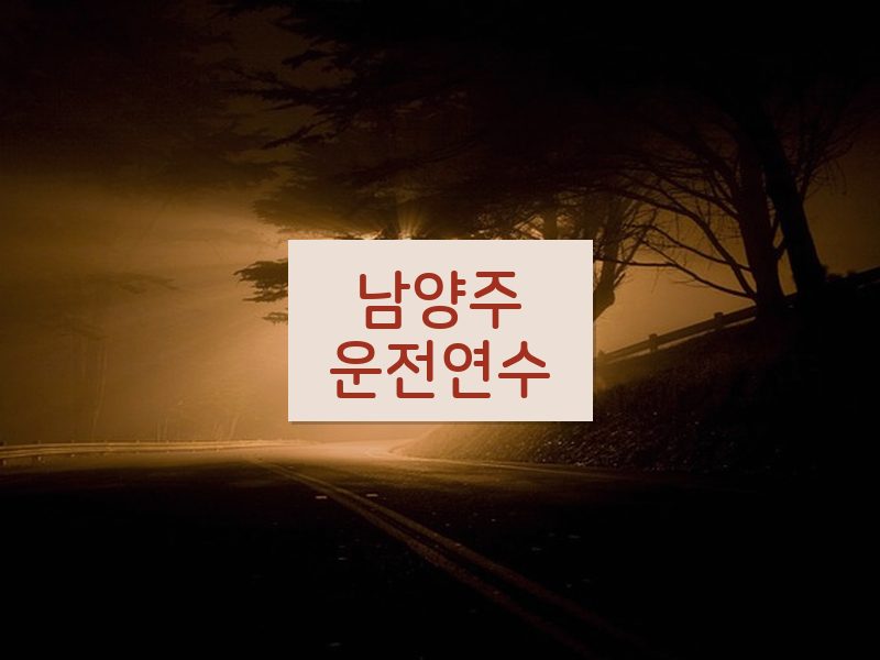남양주운전연수 후기