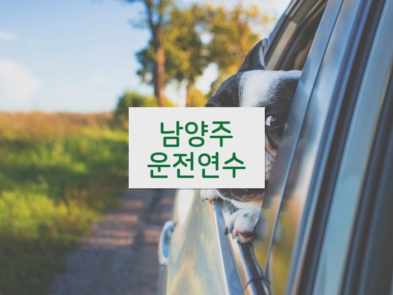 남양주운전연수 후기