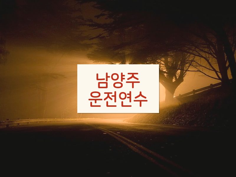 남양주운전연수 후기
