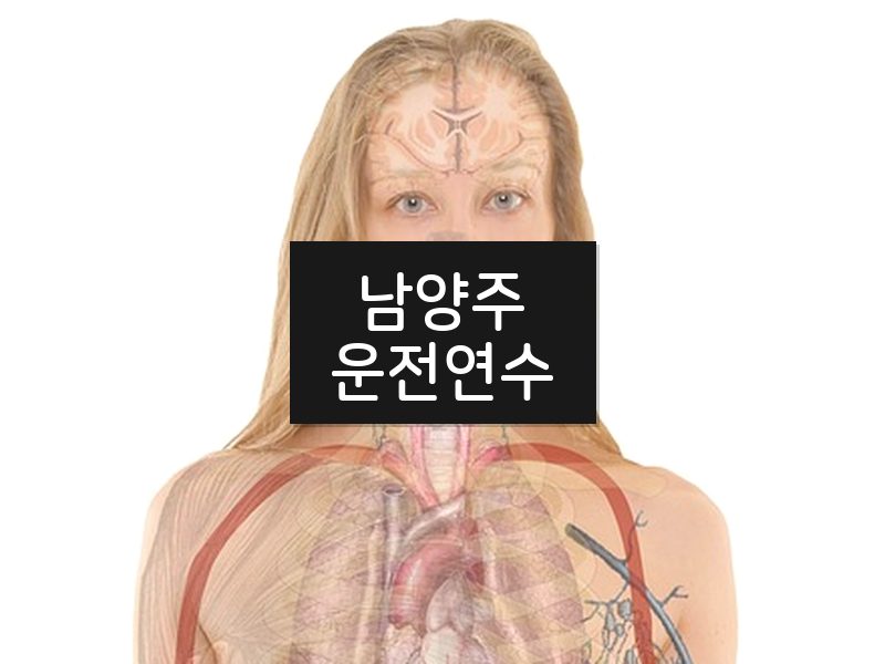 남양주운전연수 후기