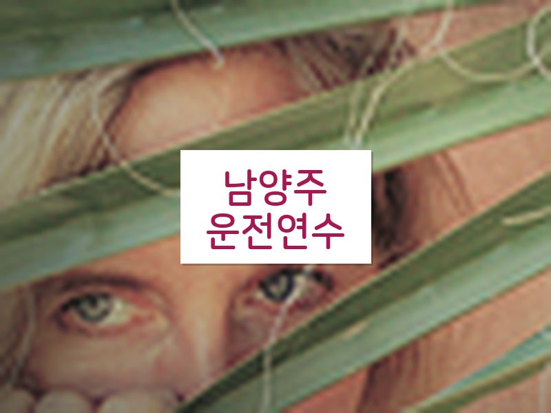 남양주운전연수 후기