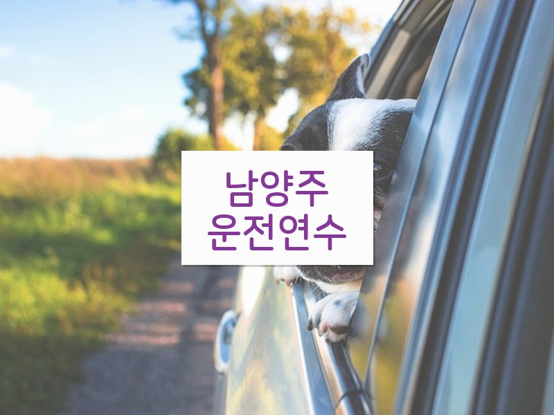 남양주운전연수 후기