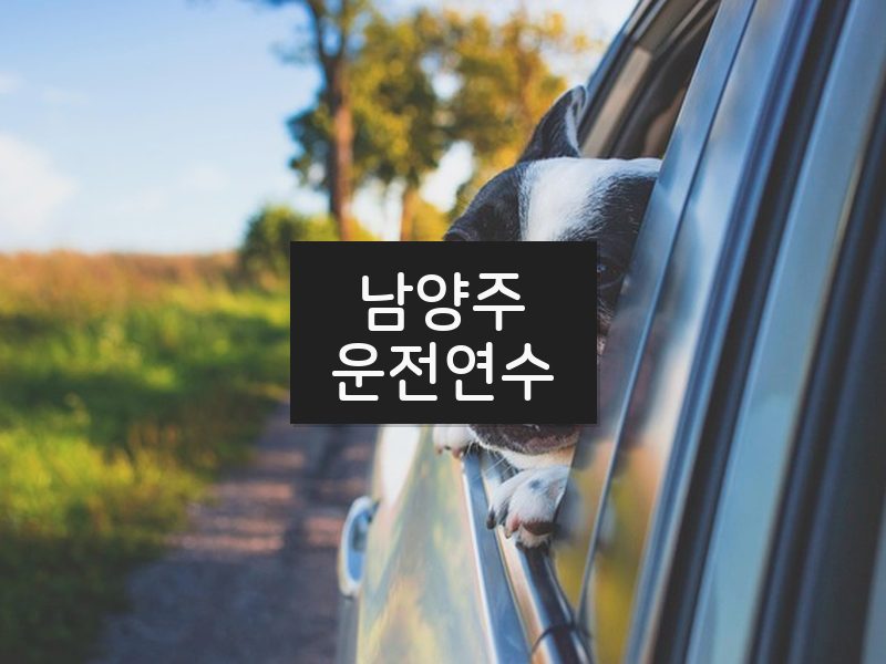 남양주운전연수 후기
