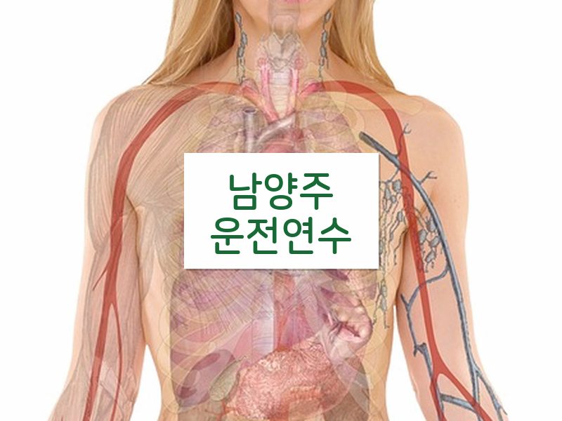 남양주운전연수 후기