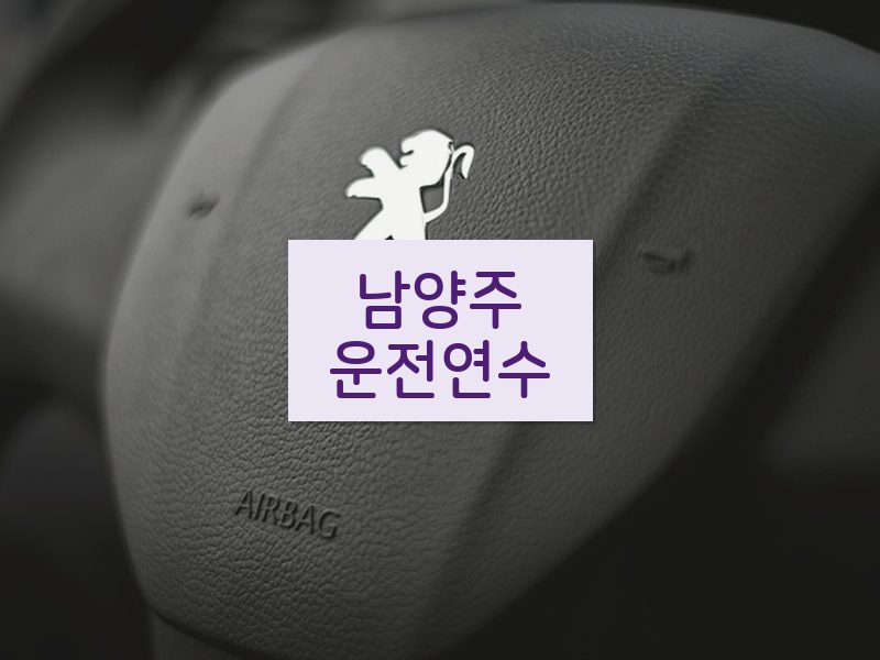 남양주운전연수 후기