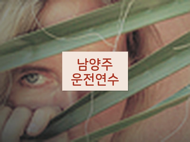 남양주운전연수 후기