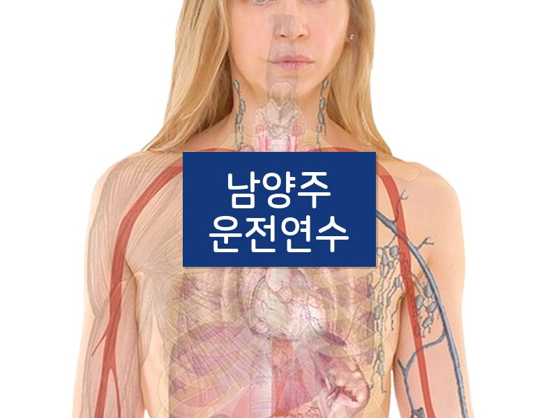 남양주운전연수 후기