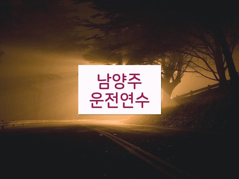 남양주운전연수 후기