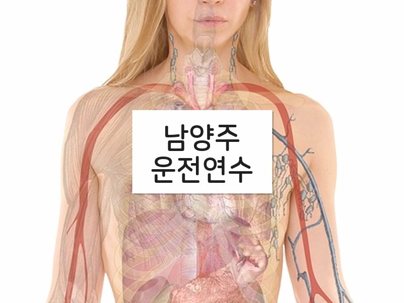 남양주운전연수 후기