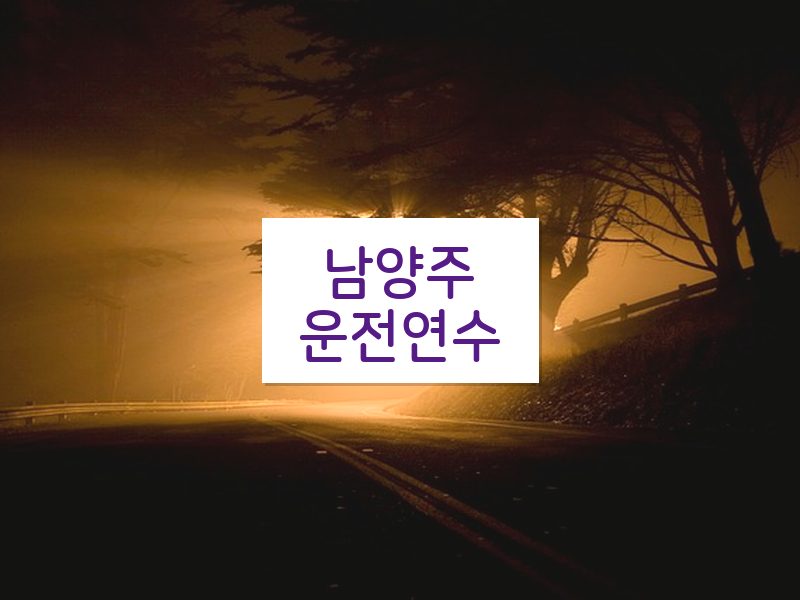 남양주운전연수 후기
