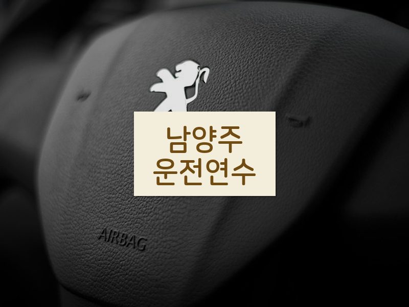 남양주운전연수 후기