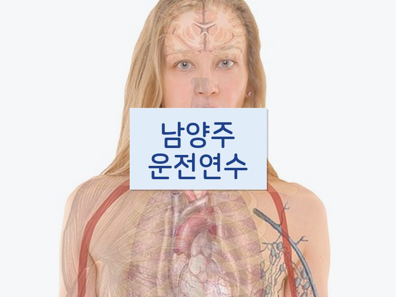 남양주운전연수 후기