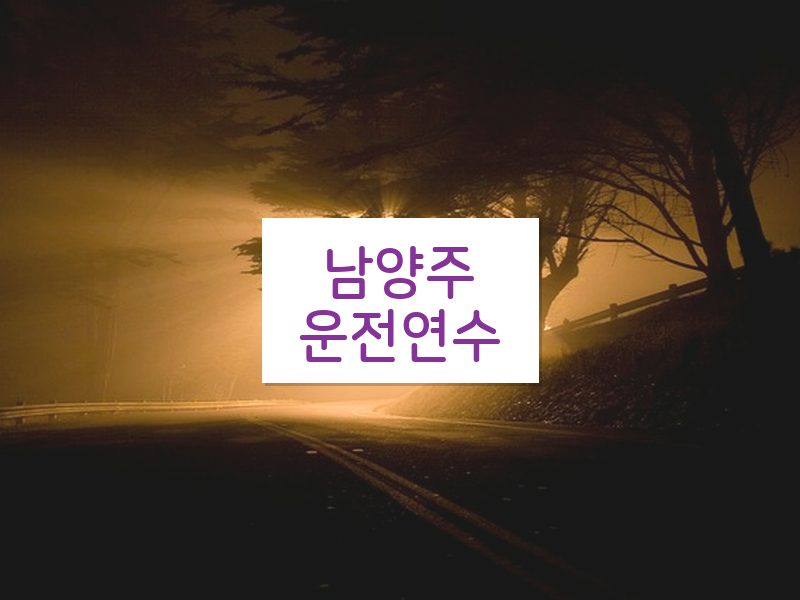 남양주운전연수 후기
