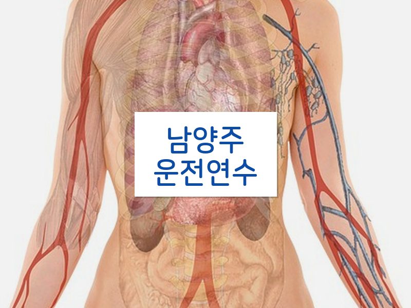 남양주운전연수 후기