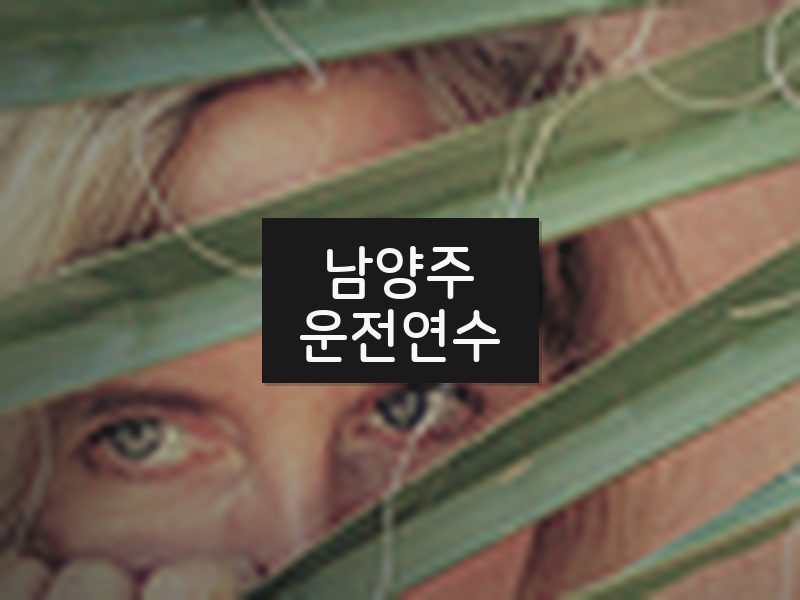 남양주운전연수 후기