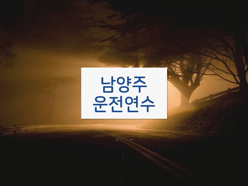 남양주운전연수 후기